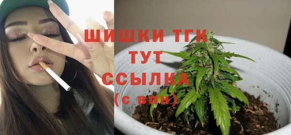 ПСИЛОЦИБИНОВЫЕ ГРИБЫ Алексеевка